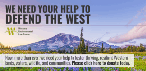 we need your help to defend the west! Now, more than ever, we need your help to foster thriving, resilient western lands, waters, wildlife, and communities. please click here to donate today.