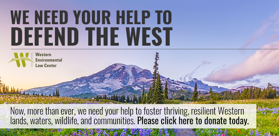 we need your help to defend the west! Now, more than ever, we need your help to foster thriving, resilient western lands, waters, wildlife, and communities. please click here to donate today.