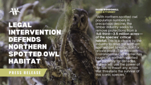 “With northern spotted owl population numbers in precipitous decline, the timber industry seeks to remove protections from a full third—3.5 million acres—of the species’ critical habitat,” said David Woodsmall, attorney at the Western Environmental Law Center. “This is a choice by the industry to drive the northern spotted owl to extinction for private profit, antithetical to the American values of conservation embodied in our laws. The Western Environmental Law Center has fought for northern spotted owl recovery for decades, and we will use the power of the law to thwart any action that threatens the survival of this iconic species.”