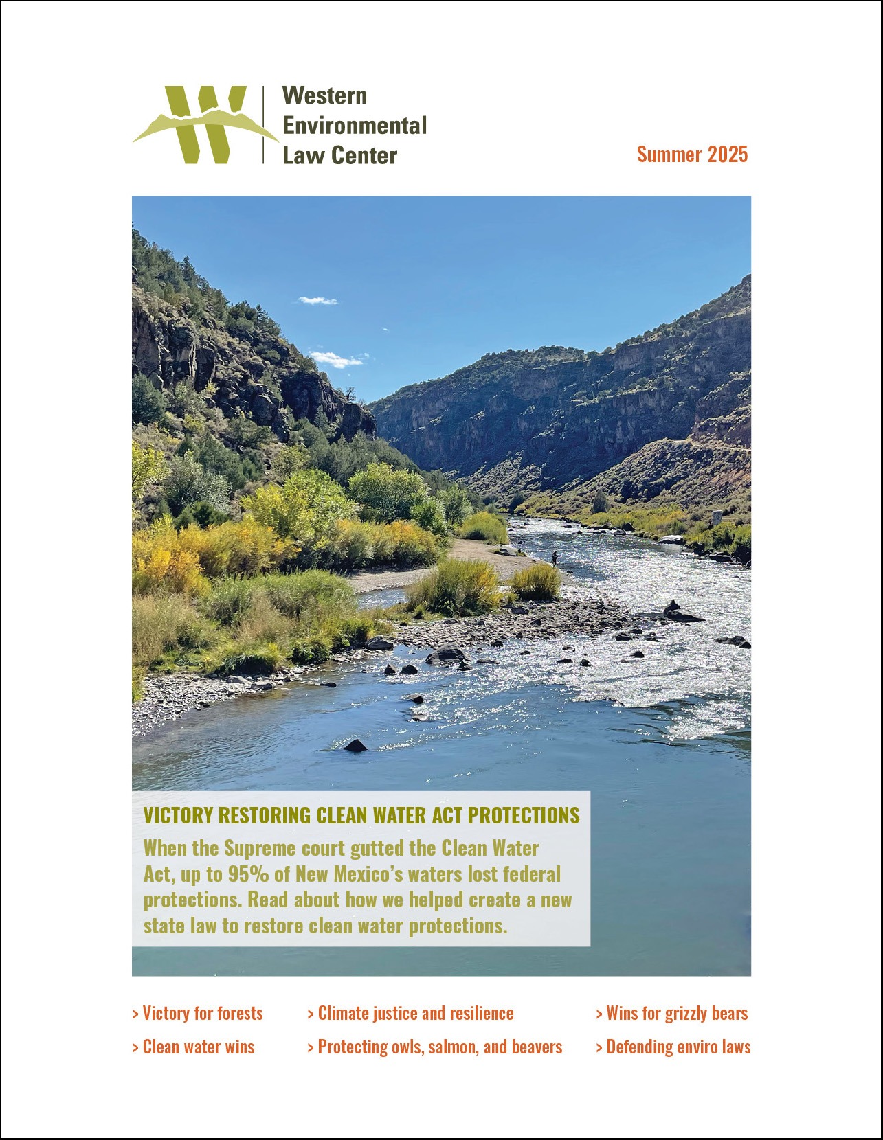 newsletter cover image