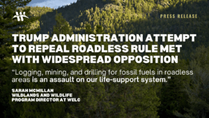 Trump Administration Attempt to Repeal Roadless Rule Met With Widespread Opposition. “Logging, mining, and drilling for fossil fuels in roadless areas is an assault on our life-support system.” Sarah McMillan Wildlands and Wildlife Program director at WELC