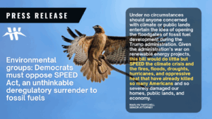 Under no circumstances should anyone concerned with climate or public lands entertain the idea of opening the floodgates of fossil fuel development during the Trump administration. Given the administration’s war on renewable energy projects, this bill would do little but SPEED the climate crisis and the fires, floods, droughts, hurricanes, and oppressive heat that have already killed so many Americans and so severely damaged our homes, public lands, and economy. - Marlyn Twitchell, senior attorney