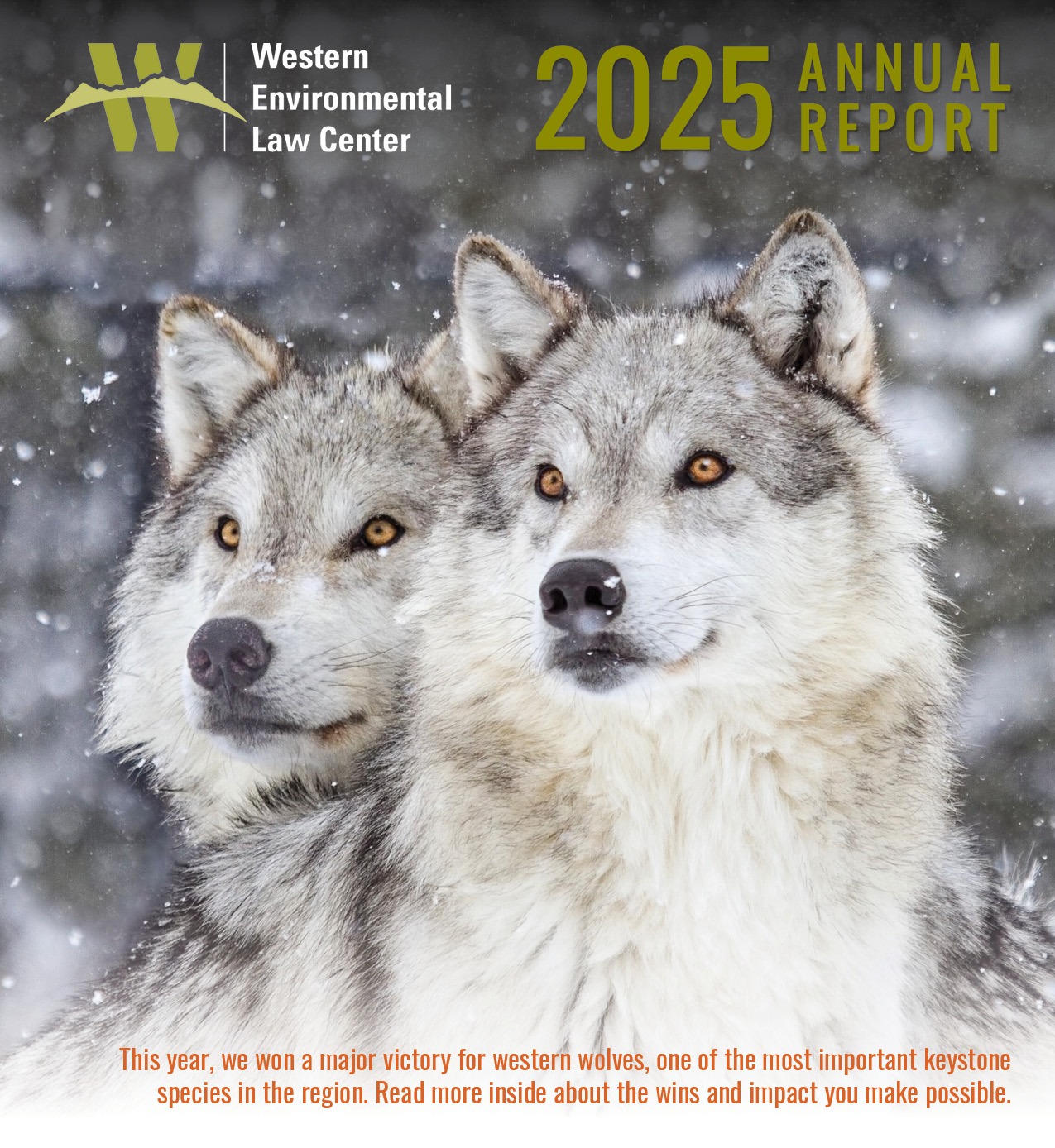 Annual Report Cover