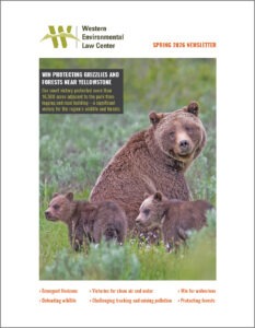 spring newsletter