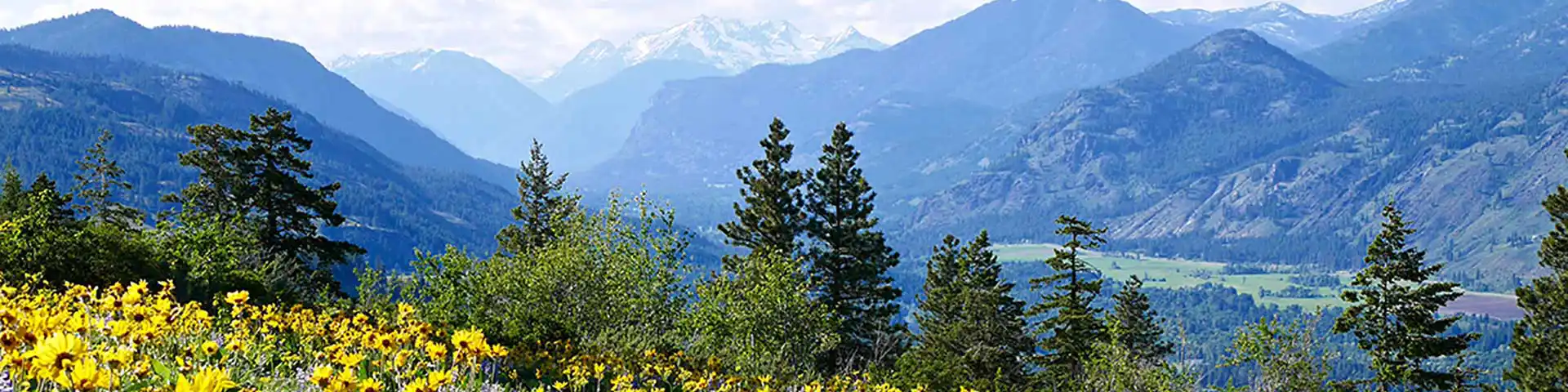 Sign Up for WELC News