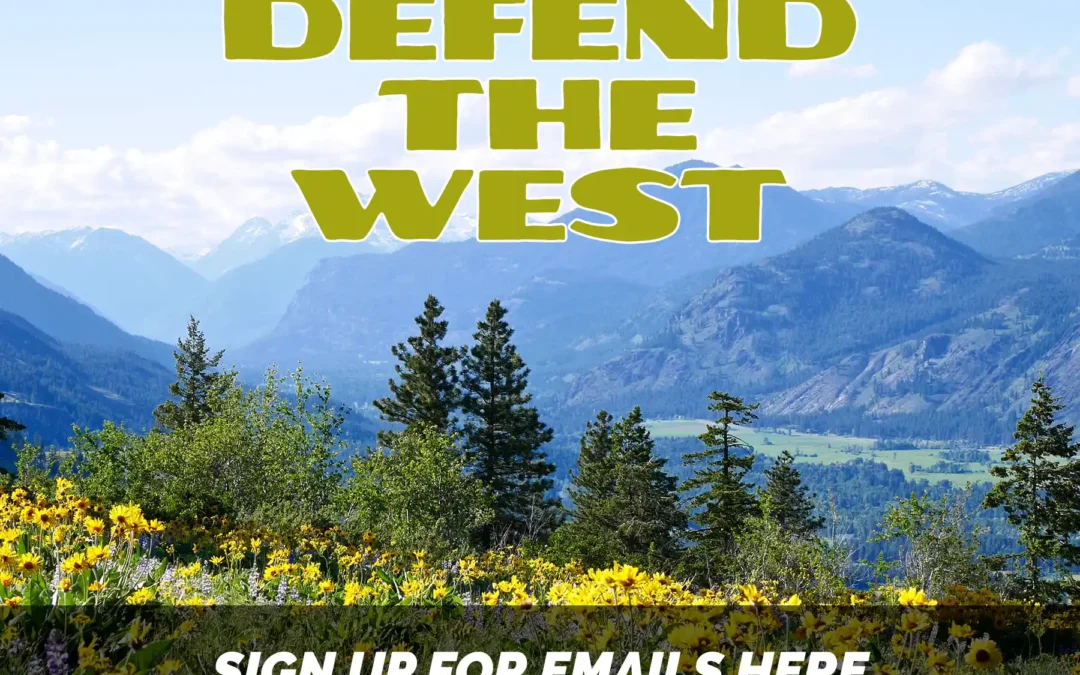 Stay informed and Defend the West pop-up email