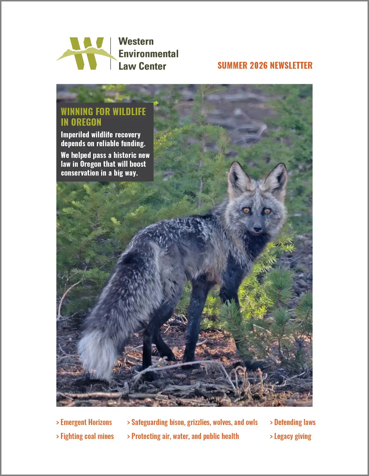 WELC Summer Newsletter Cover